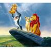 Paint by Numbers Paintings To Paint - Disney The Lion King 50X40 Cm
