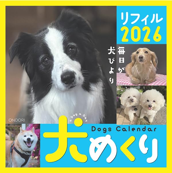 

Dog Calendar 2026 Daily Refill, Calendar, CK-D26-02