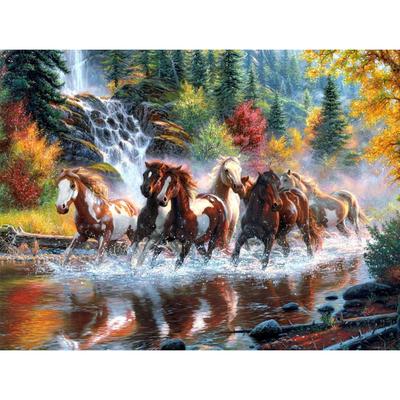 5D fai da te diamante ricamo cavallo al galoppo scenario pittura diamante croce ricamata decorazione a mosaico diamante quadrato/rotondo