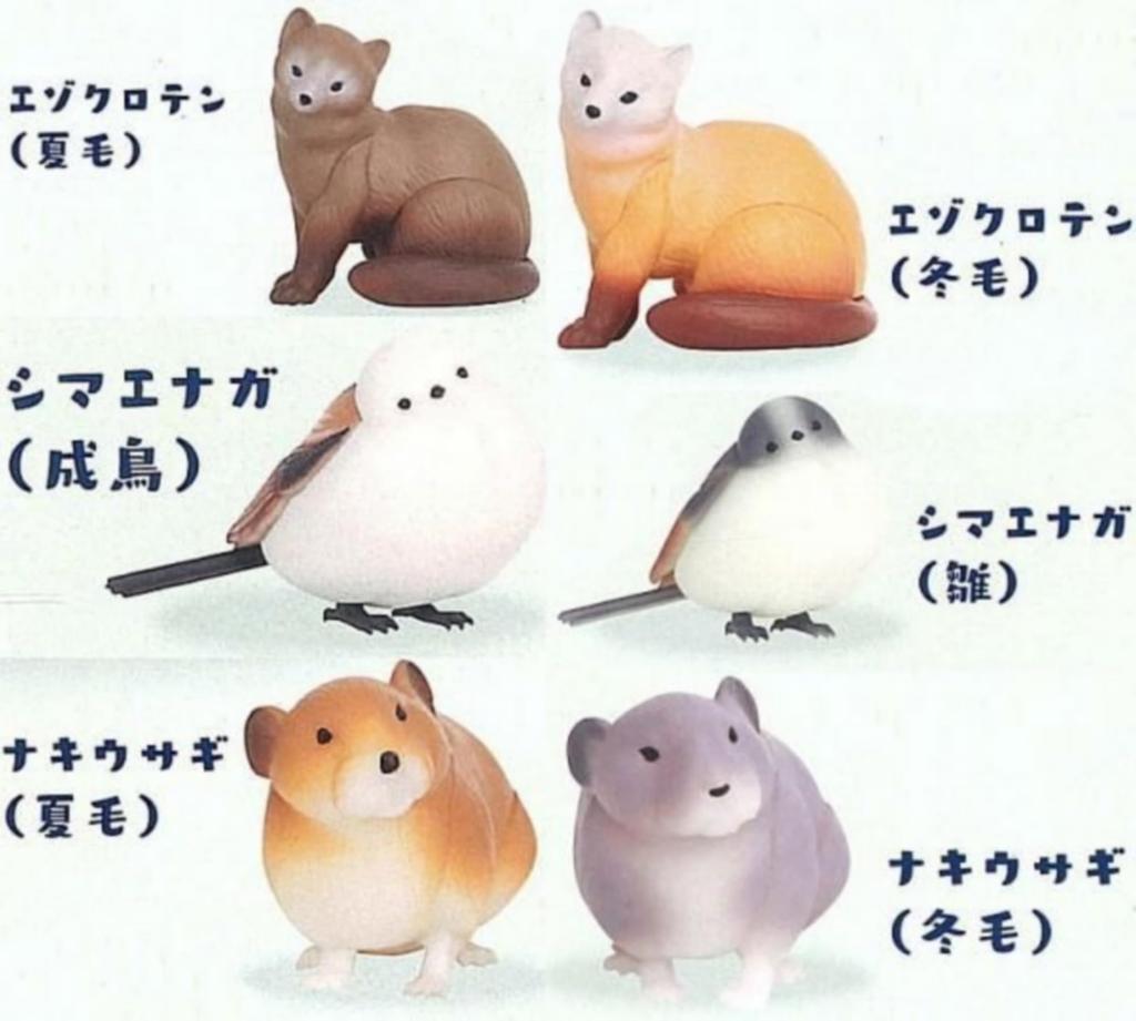 Northern Country Encyclopedia x Complete Set of 6 Types Complete Gacha Capsule Toy