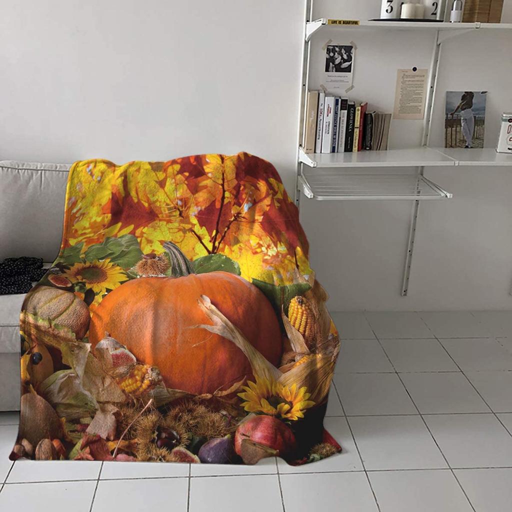 Flanell-Fleece-Überwurfdecke für Sofa, Couch, Bett, niedlicher Cartoon-Igel, weiche, kuschelige, leichte Decke für Erwachsene/Kinder 39x49 Zoll