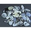 243Cts. Natural Dendrite Opal Mix Cabochon Loose Gemstone 25Pcs Lot A-785