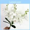 Artificial Bloom Phalaenopsis Collection For Living Room And Decoration Party
