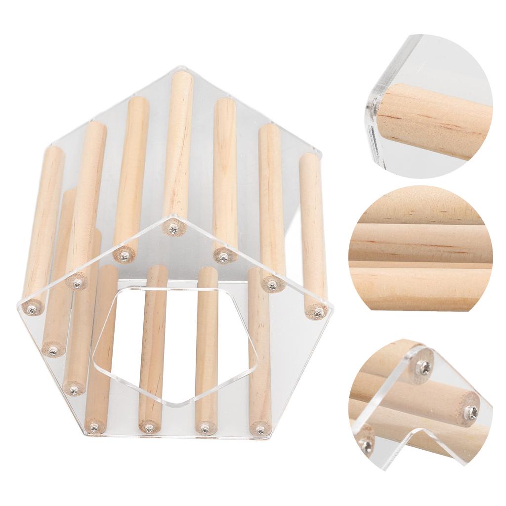 Minimalist Pentagonal Hamster Wooden House Ventilated Transparent Hamster Cabin for Hamster Golden Br