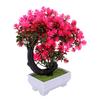 Artificial Bonsai Tree with Pot Small Desktop Faux Plant Easy Maintenance Ornament Decoration for Home Office Shelf