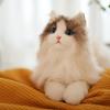 Chongker Realistic and Lifelike Cat Plush Handmade with a Soft Cute and Soothing a Perfect Gift for Cat and Perfect for Birthdays and Anniversaries