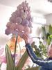 Large Foam Egg-Shaped Flower Bud for Rose, Poppy & Hyacinth Art