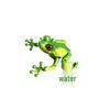 Realistic 3D Frog Toy with Movable Joints - Desktop Ornament and Gift Collection