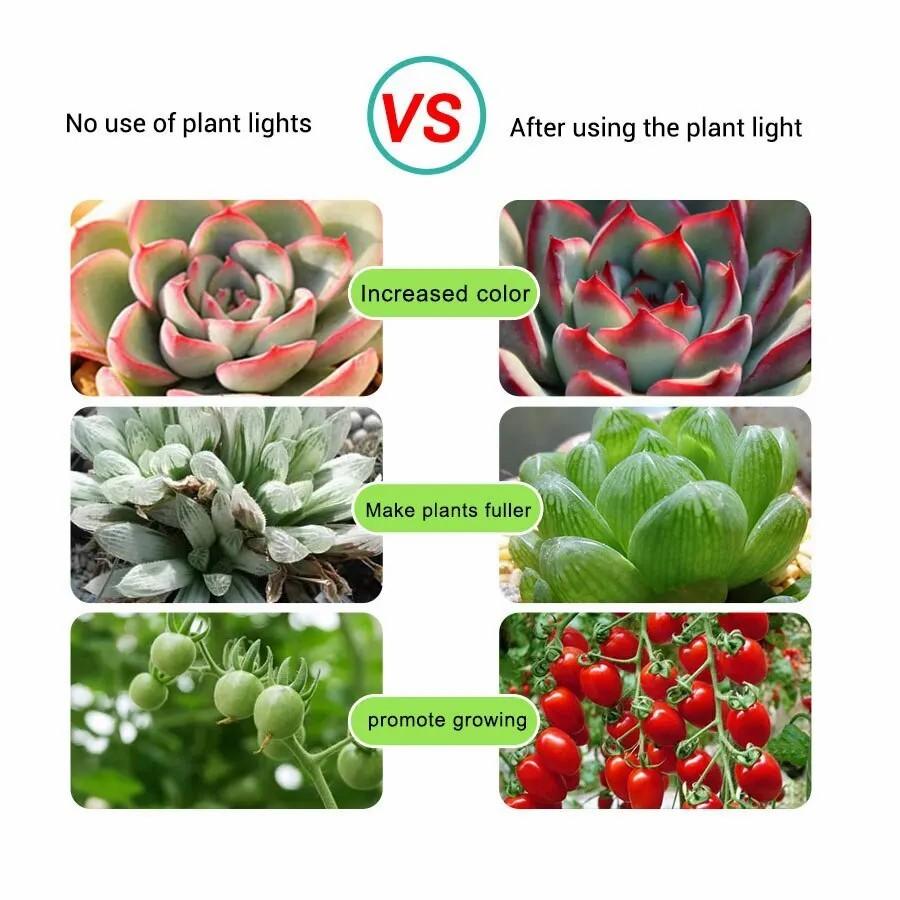 5V USB Led Full Spectrum Plant Grow Light Strip 1m/2m/3m Strip for Flower Seedling Grow Greenhouse Hydroponic Plants Lighting