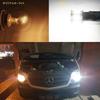 Pack of 4 High Brightness New Product S25 Single Bulb