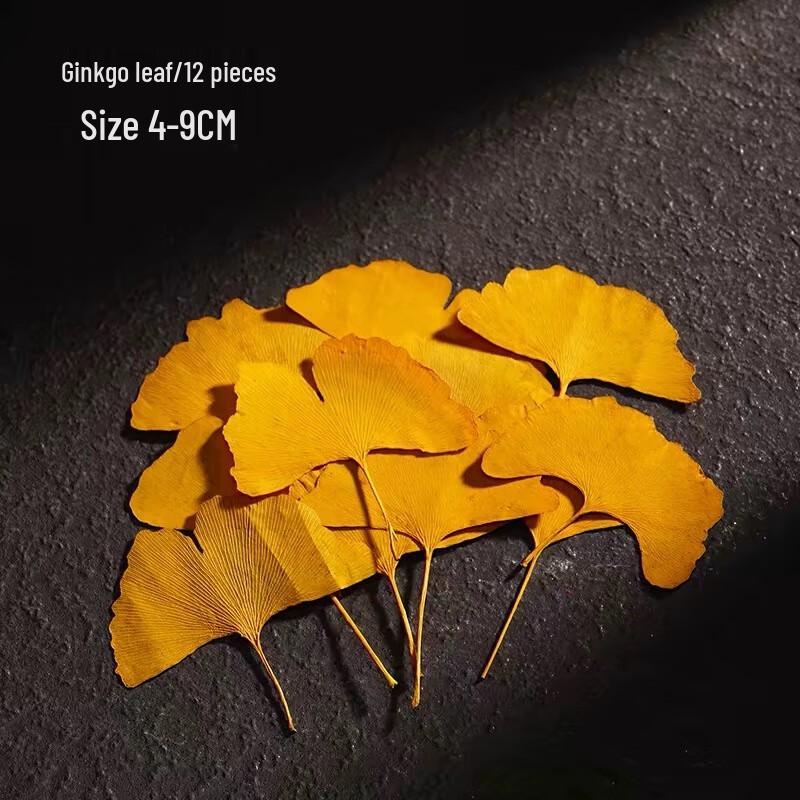 

OIMG Ginkgo Cocktail Picks