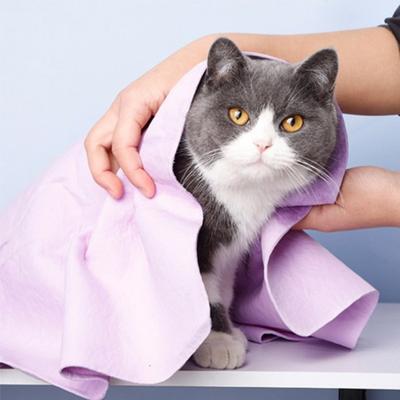 Block Mart Simple Dog Towel 4p, koreanisches Haustiershampoo