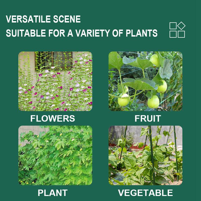 Durable Nylon Garden Climbing Net For Cucumber And Vegetables Heavy-Duty Support Easy To Install