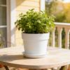 Plant Pot with Drainage Holes Plastic Flowerpot with Saucer Modern Flower Pot for Indoor Outdoor Plants Office Desk Garden