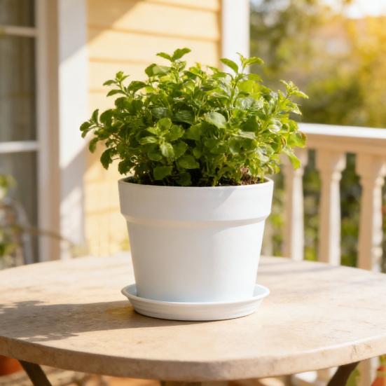 Plant Pot with Drainage Holes Plastic Flowerpot with Saucer Modern Flower Pot for Indoor Outdoor Plants Office Desk Garden