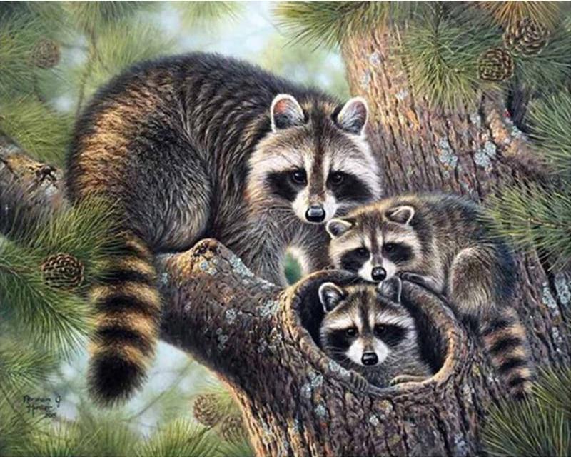 5D Diamond Painting Little Cat See Fish Full Square Drill Rhinestone Diamond Embroidery Kid Wolf Tiger Civet Cat Animal Cross Stitch Mosaic Home Decor