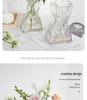 European Style Transparent Glass Vase for Creative Flower Arrangements - High-End Décor for Living Room or Desktop.