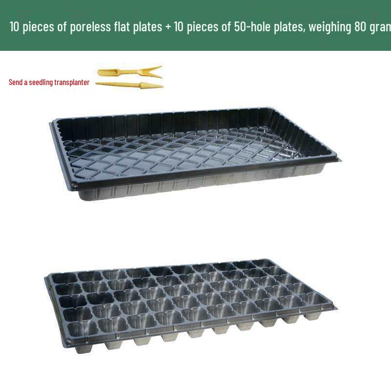 Thickened Plastic Succulent Seedling Tray for Cultivation & Cutting