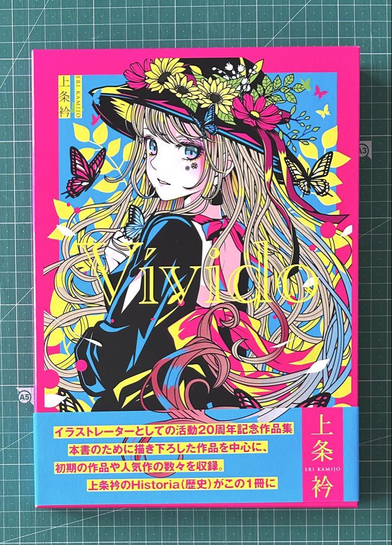 

[USED] Kamijo Eri Illustration Collection Video
