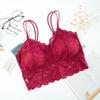 Lace Bra Wrapped Chest Beauty Back Underwear Women Fashion Belt Chest Padded Camisole