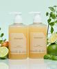 Monthndays Perfume Care Shampoo Linden Lime   Basil 500ml X 2