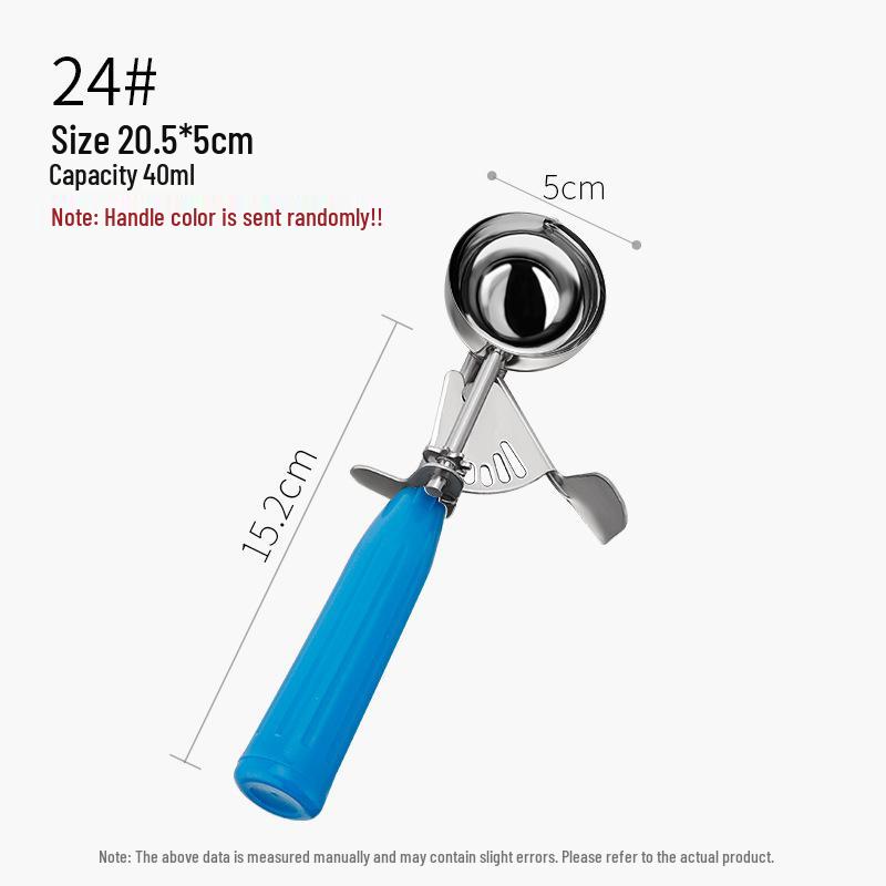 Stainless Steel Ice Cream Scoop and Dessert Spoon