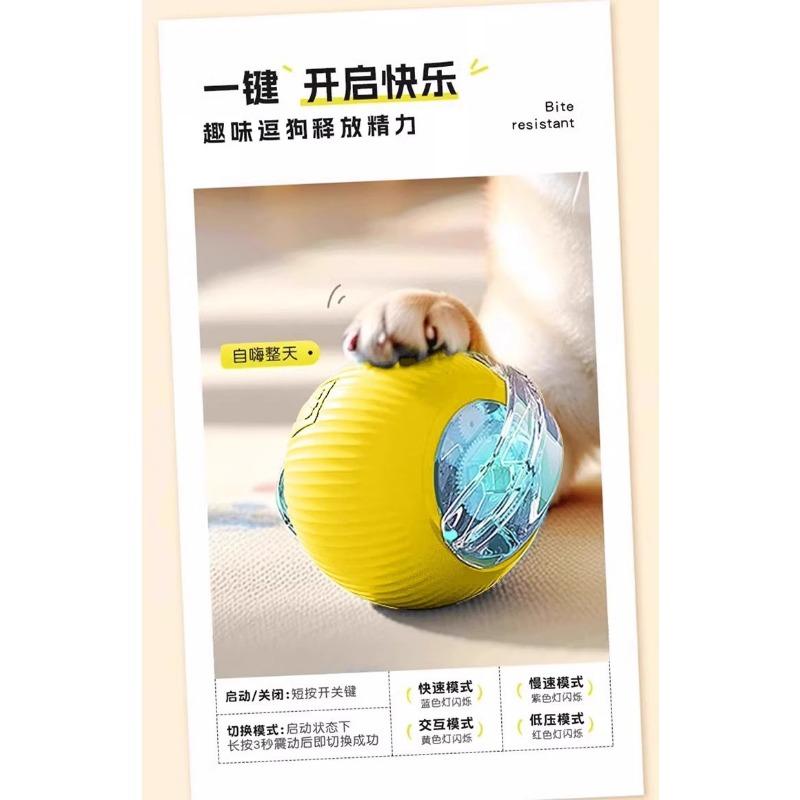 Automatic Smart Electric Bouncing Ball Bite Resistant Interactive Pet Toy For Dogs