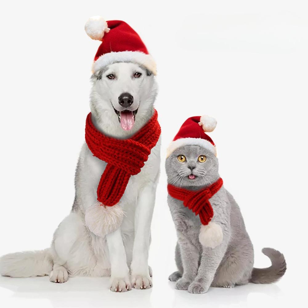Creative Pet Christmas Hat Scarf Set Christmas Transformation Funny Cat Dog Clothing Dress Up Dress Up