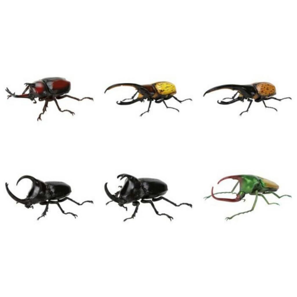 BANDAI Living Creatures Encyclopedia Rhinoceros Beetle 09 x Complete Set of 6, Gachapon Capsule Toy