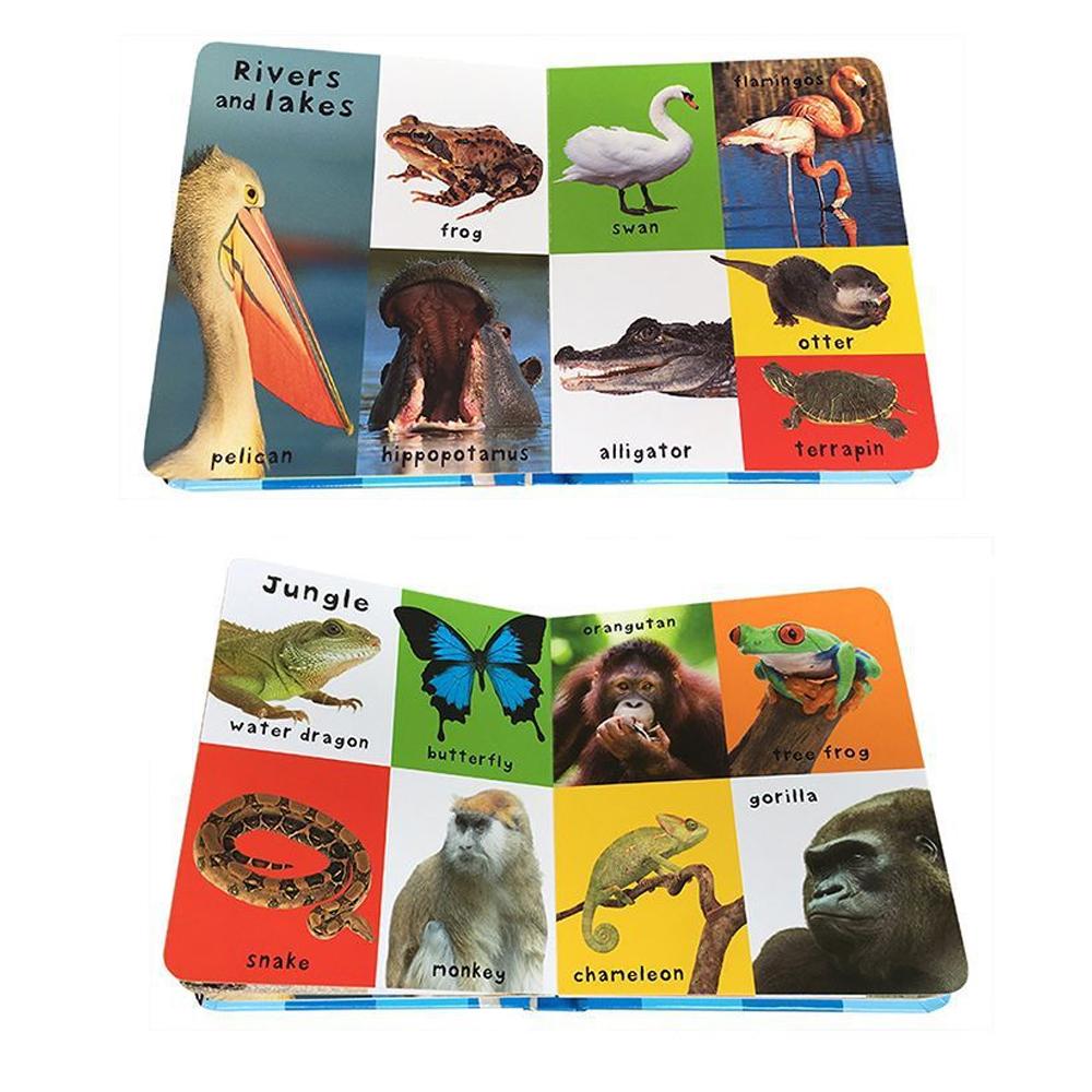 First 100 English Words Cardboard Book Language Learning Aids Vocabulary Building Bedtime Reading for Preschool