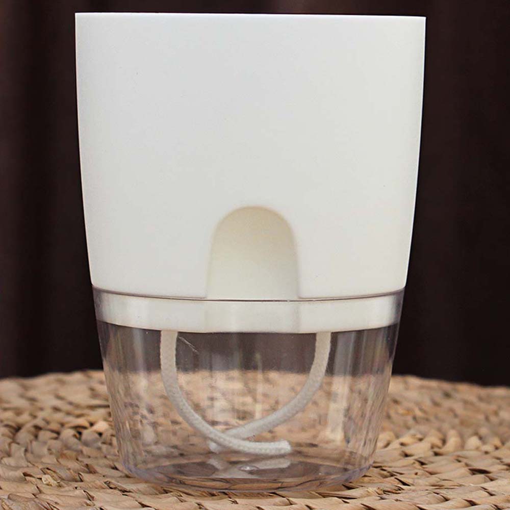 Garden Supplies Green Dill Office Hydroponic Decoration Plant Pot Planters Home Decor Flower Pots