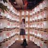 Unique Outdoor Decoration Lantern Creative Hanging Lantern Winter Melon Lantern  Restaurant
