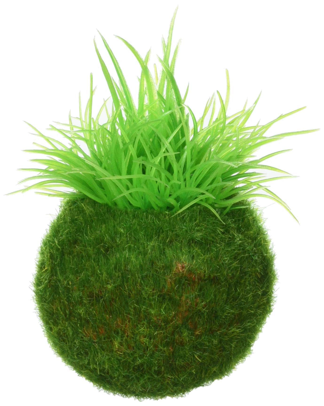 

Nisso Table Aqua Healing Moss Ball Jar