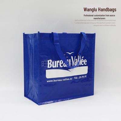 Waterproof Laminated Colorful Zipper Handbag - PP Woven Snake Skin Shopping Bag for Advertising Promotion