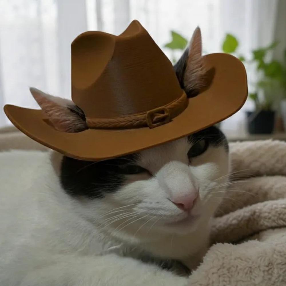

Waterproof Dog Cowboy Hat 3D Printing Cat Protective Hat Pet Headgear Pet Safety Helmet Traveling Style F