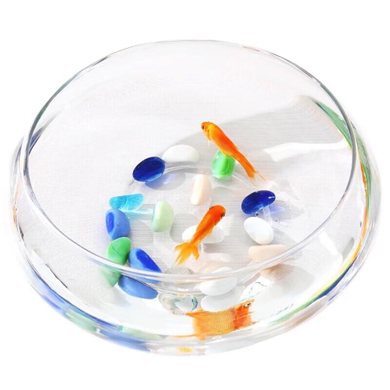 Aomeiyou Versatile Plant Pots