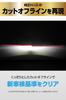 Carmate BW904 GIGA HID D4S LED Head Bulb D10 Series, 6000K, Japanese Design, 3 Years Warranty, With Pong