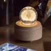 Crystal Ball Music Box Night Light: Multi-Pattern Warm Decor & Gift