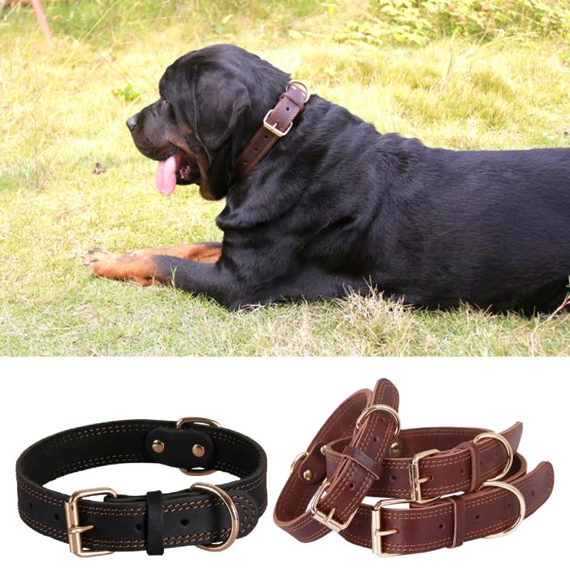 Leather Dog Collar With Vintage Copper Buckle For Medium Large Durable Dogs