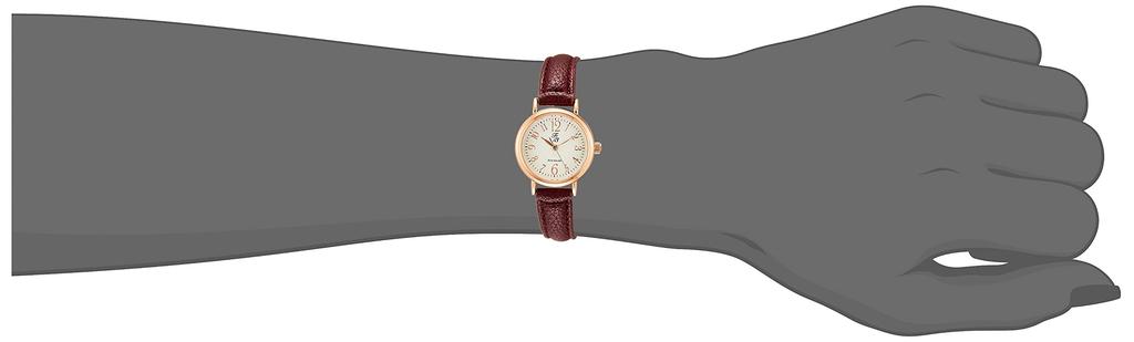ALIAS Solar F3 Analog Waterproof Leather Strap Watch for Women FP011BR2S Brown (Arias)