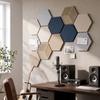 10 Pack Hexagonal Acoustic Panels, High Density Self-Adhesive Wall Panels for Noise Reduction and Decoration