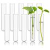 10pcs 60ml Glass Test Tubes, 25x150mm 3.3 Borosilicate Glass Test Tubes for Scientific Experiments, Party and Home Decorations, Candy Storage and