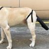 Dog Tail Protection Sleeve Adjustable Cover with Harness FastRelease Pet Supplies for Dogs,