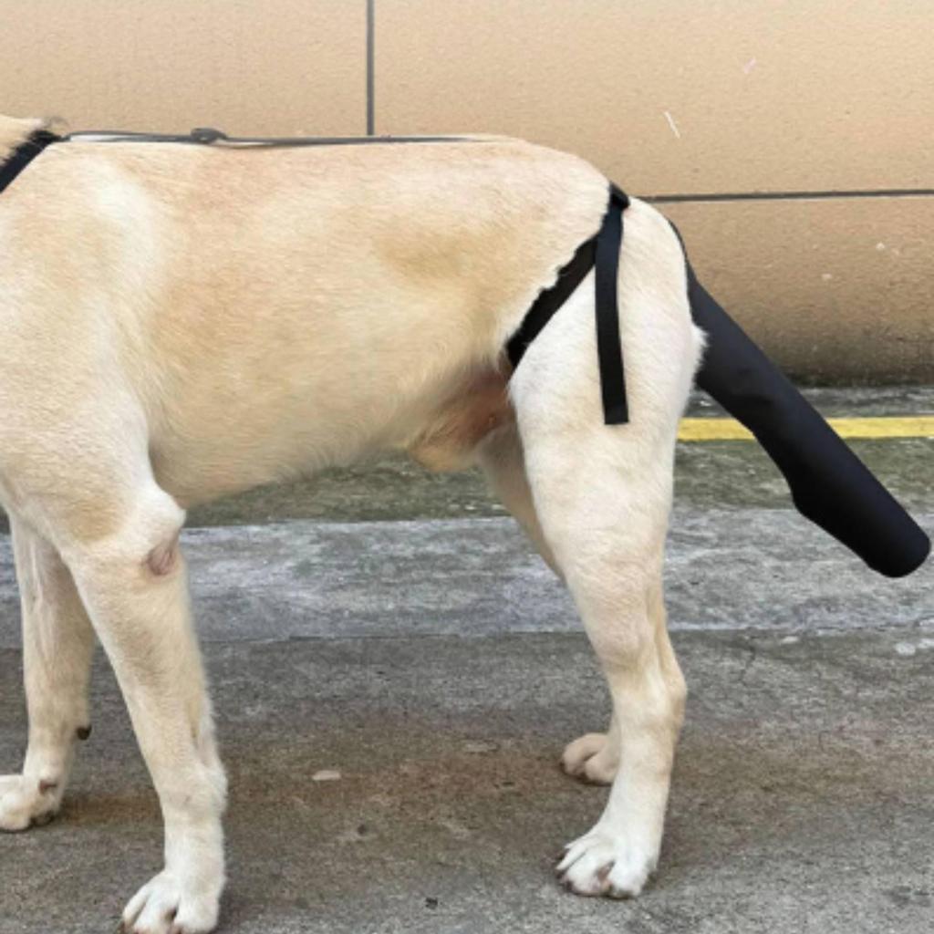 Dog Tail Protection Sleeve Adjustable Cover with Harness FastRelease Pet Supplies for Dogs,