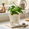 Self Watering Plant Pot High-Transparency Plastic Glacier Pattern for Hydroponic Plants Office Desk Decoration