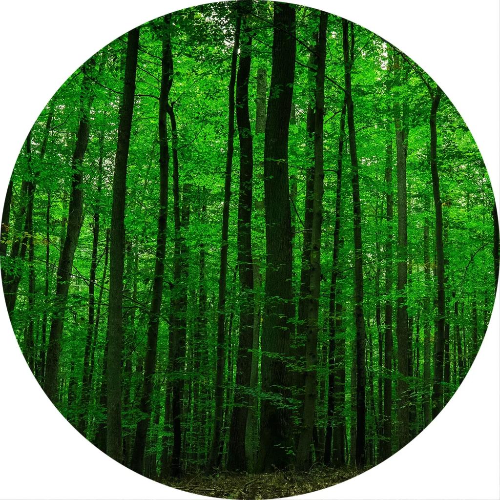 Crystal Velvet Forest Landscape Round Rug,Tree Print Non Slip Floor Mat for Living Room,Bedroom,Dorm,Home Decor,Circle Area Rug