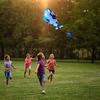 LIXADA 3D Killer Whale Sky Kite, Lightweight and Durable, Perfect for Paper Kite Flying, Outdoor Activities, Beaches, Parks, Kids Toys, and Gifts