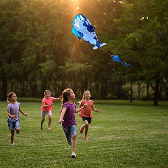 LIXADA 3D Killer Whale Sky Kite, Lightweight and Durable, Perfect for Paper Kite Flying, Outdoor Activities, Beaches, Parks, Kids Toys, and Gifts