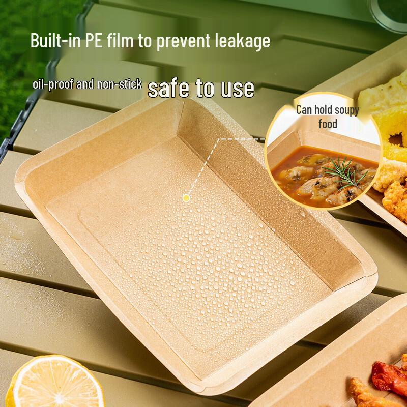 Temeiju Disposable Kraft Paper Plates for Camping & BBQ