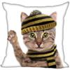 Bedroom Home Office Decor Pillowcase Square  Funny Cat Animal